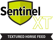 button to Sentinel: Textured Horse Feed